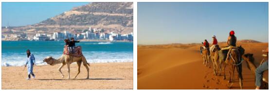 Types of Tourism in Morocco