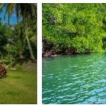 Types of Tourism in Papua New Guinea