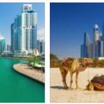 Types of Tourism in United Arab Emirates
